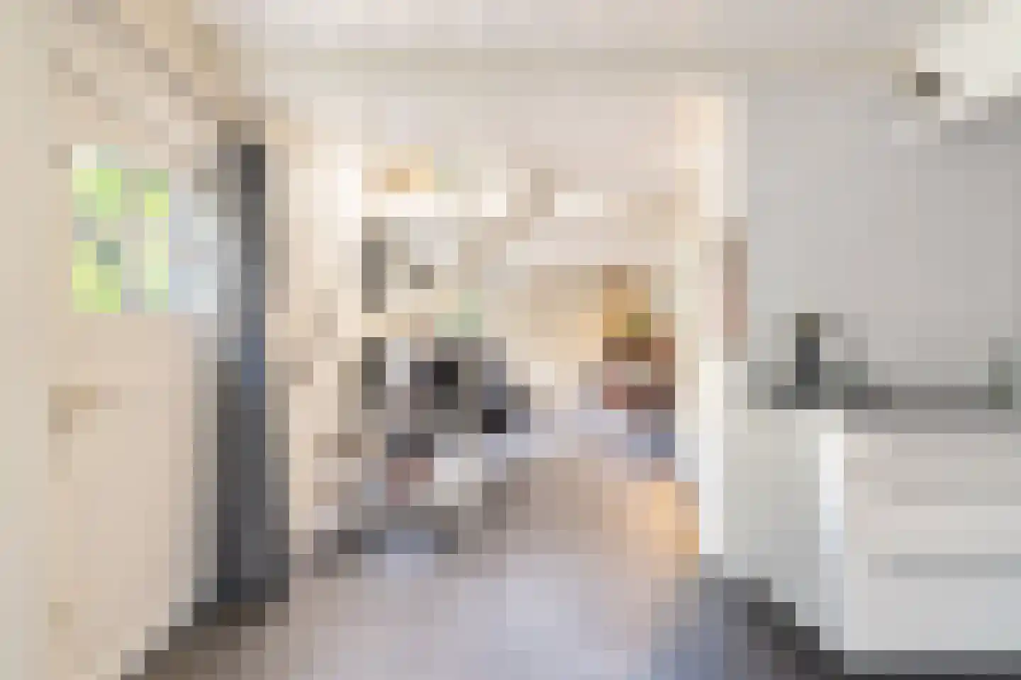 Raadhuisstraat 30 Hooge Zwaluwe thumbnail 21