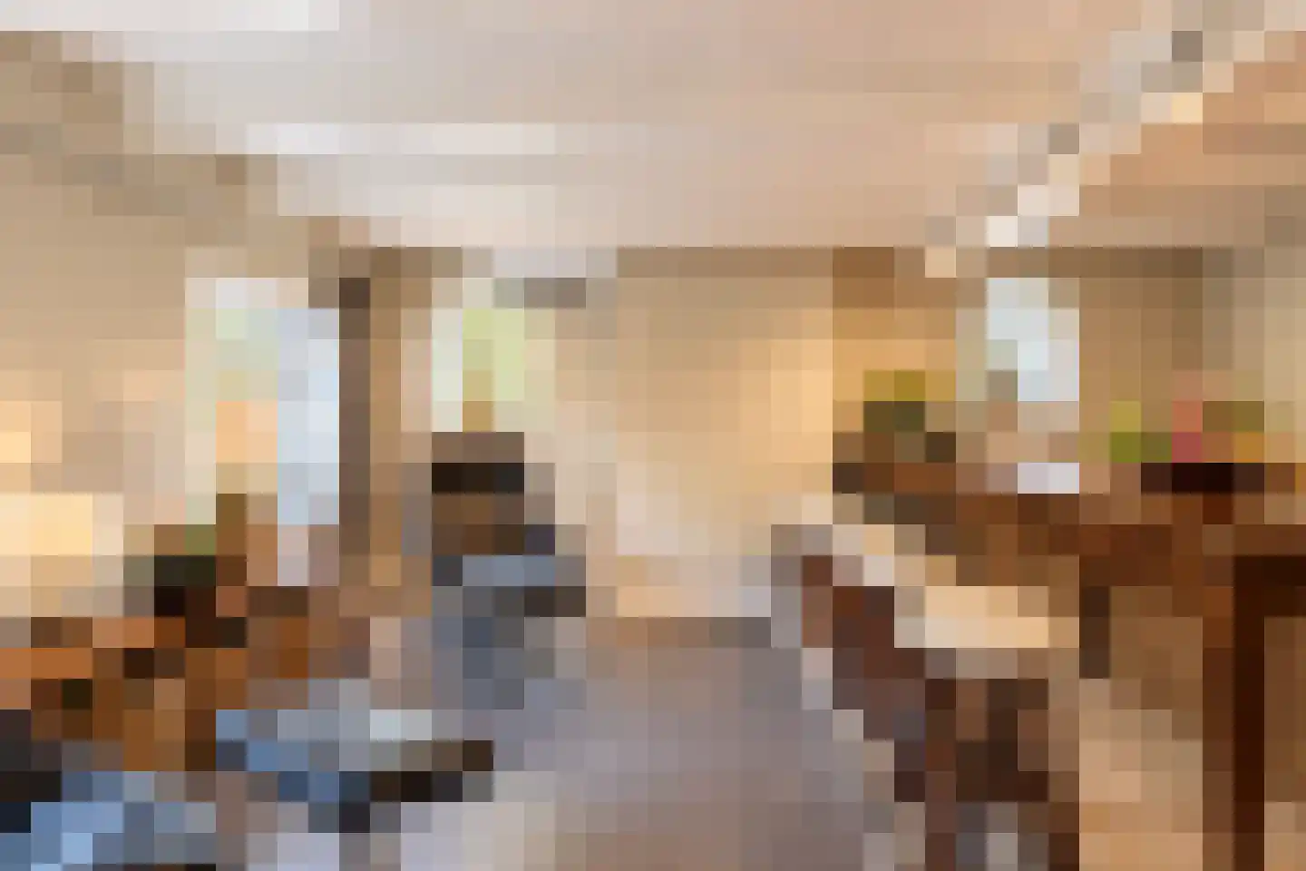 Raadhuisstraat 30 Hooge Zwaluwe thumbnail 22