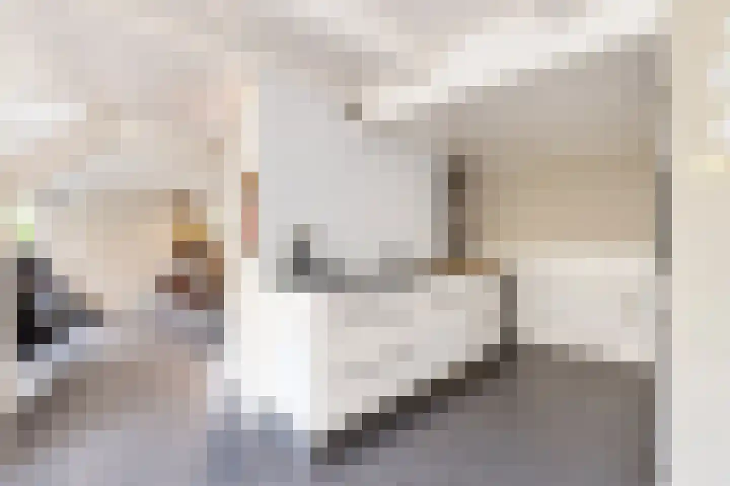 Raadhuisstraat 30 Hooge Zwaluwe thumbnail 27