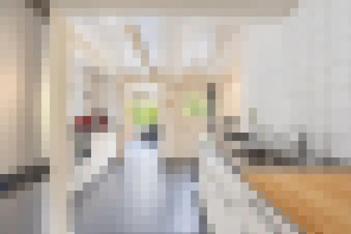 Raadhuisstraat 30 Hooge Zwaluwe thumbnail 31
