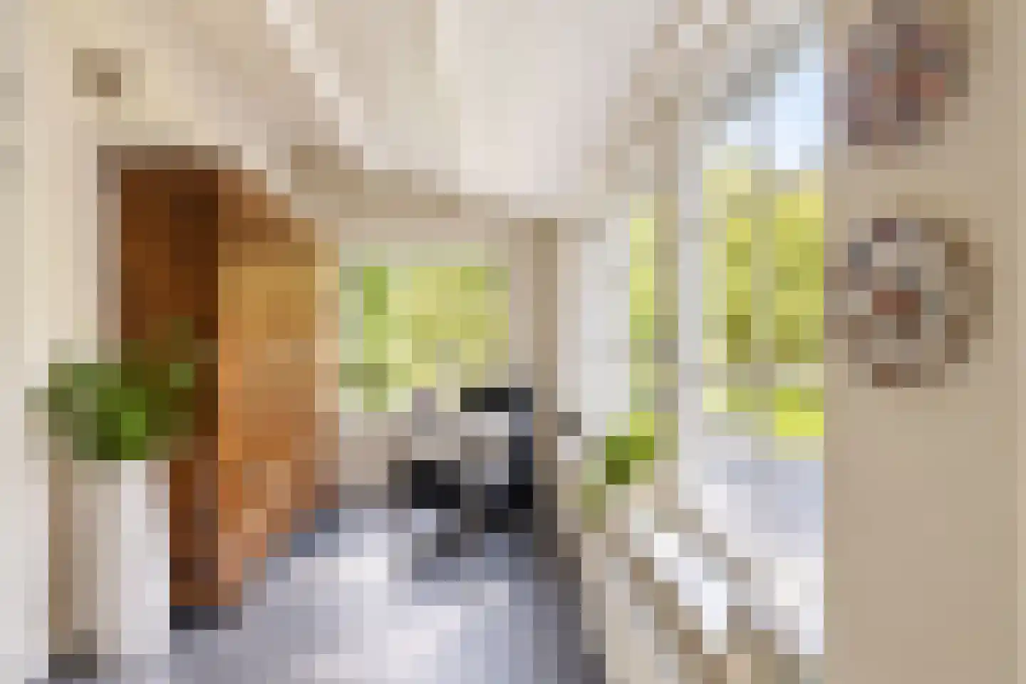 Raadhuisstraat 30 Hooge Zwaluwe thumbnail 32