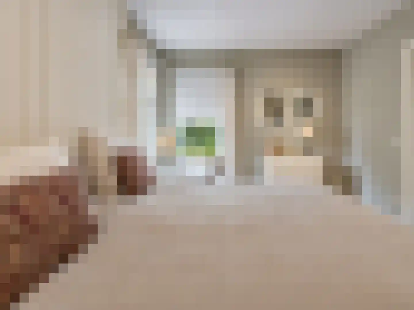 Raadhuisstraat 30 Hooge Zwaluwe thumbnail 39