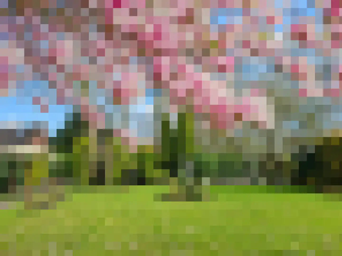 Raadhuisstraat 30 Hooge Zwaluwe thumbnail 4