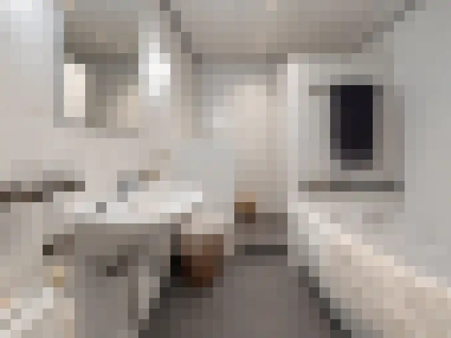 Raadhuisstraat 30 Hooge Zwaluwe thumbnail 40