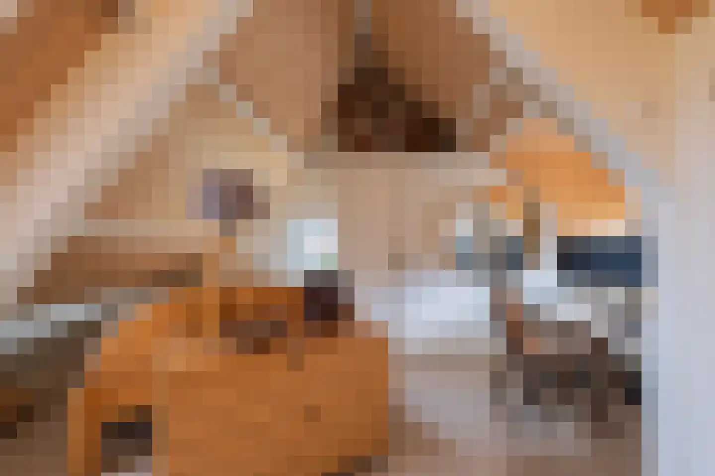 Raadhuisstraat 30 Hooge Zwaluwe thumbnail 47
