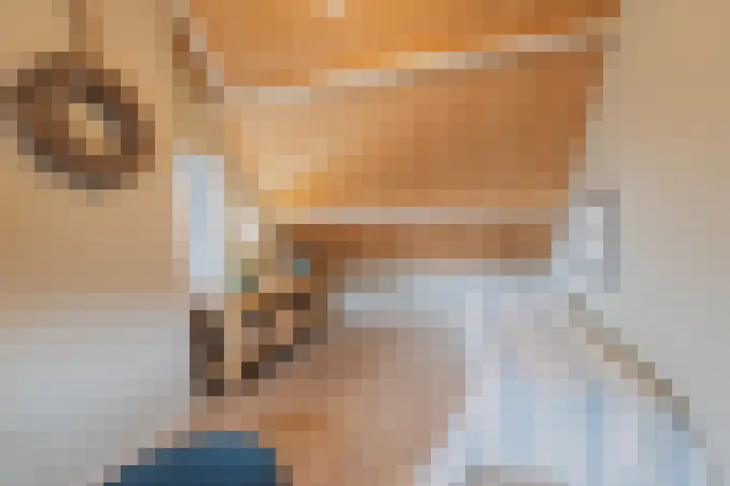 Raadhuisstraat 30 Hooge Zwaluwe thumbnail 50