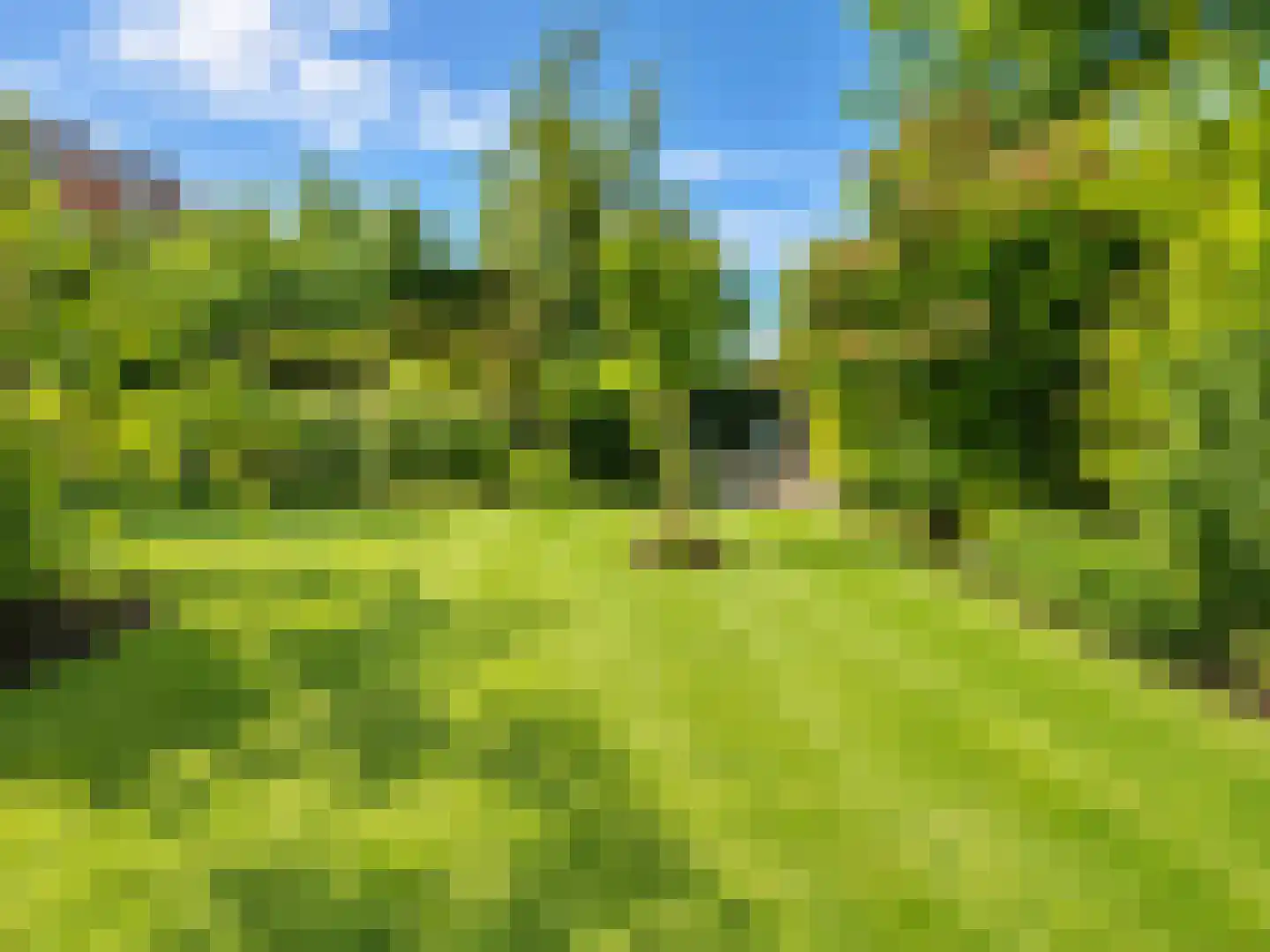 Raadhuisstraat 30 Hooge Zwaluwe thumbnail 59