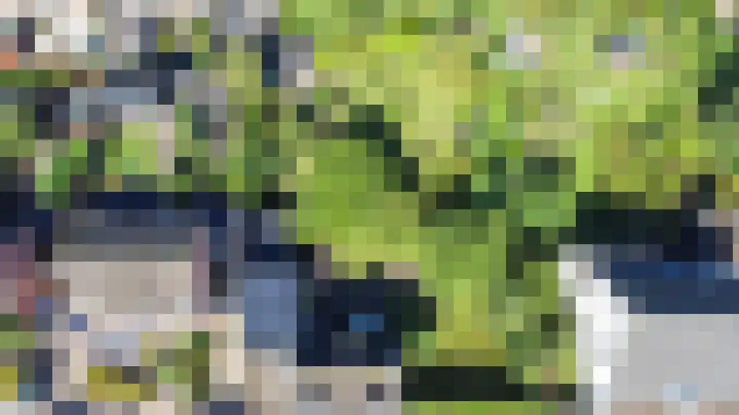 Raadhuisstraat 30 Hooge Zwaluwe thumbnail 6