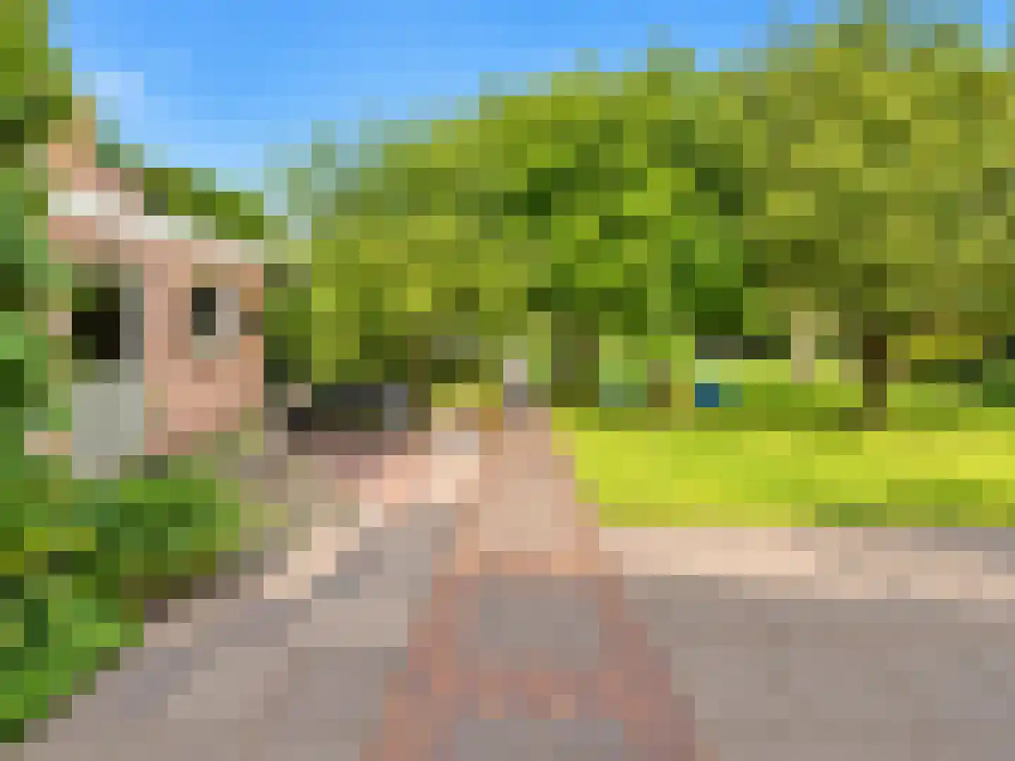 Raadhuisstraat 30 Hooge Zwaluwe thumbnail 63