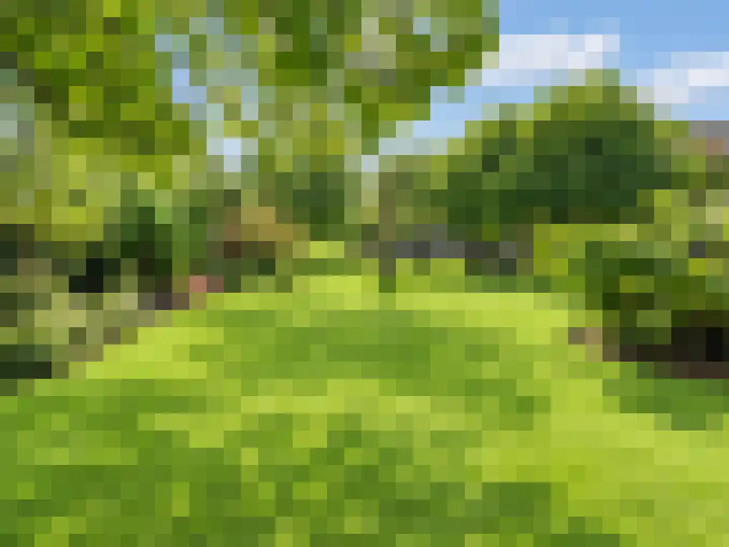 Raadhuisstraat 30 Hooge Zwaluwe thumbnail 64