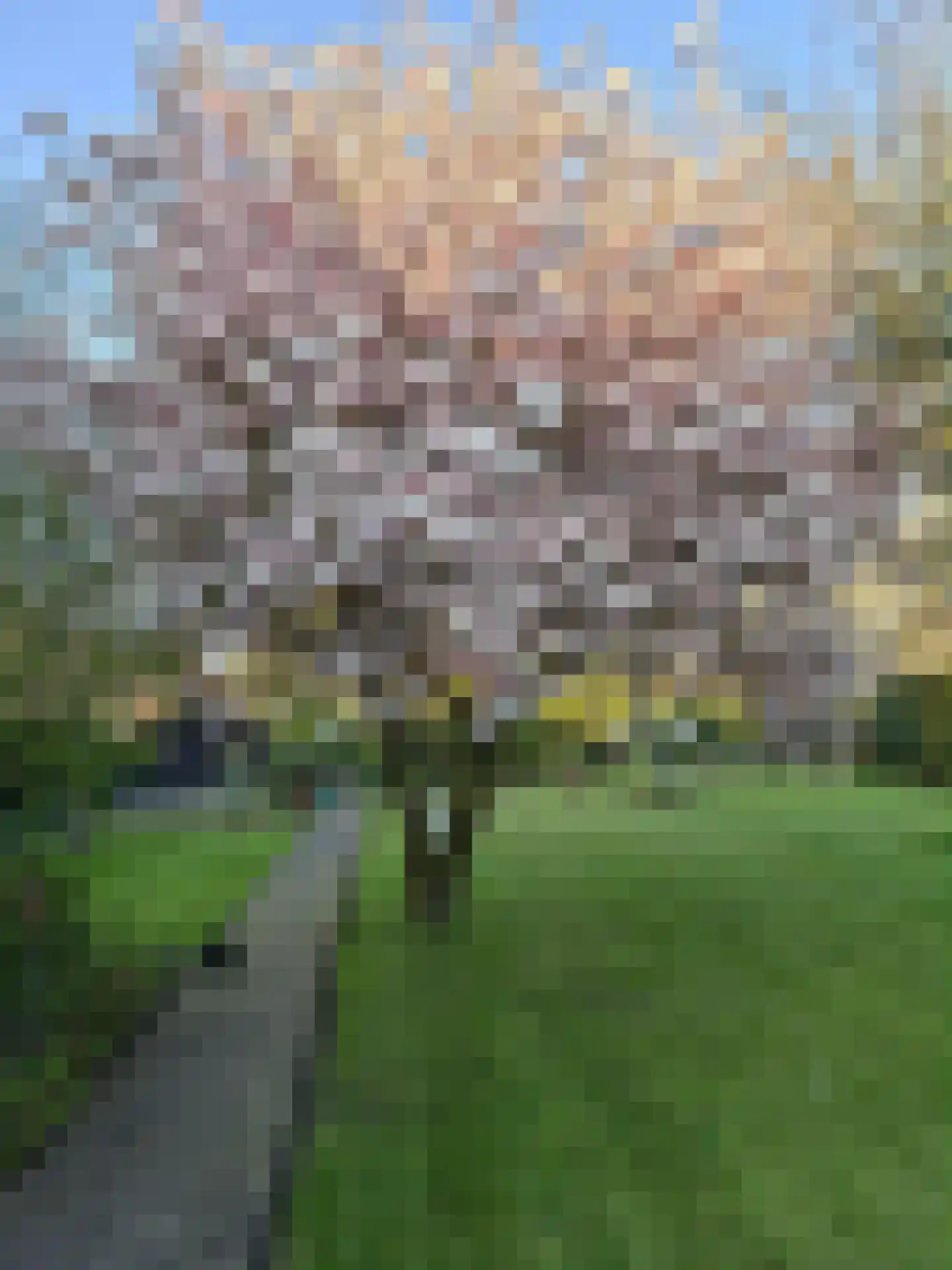 Raadhuisstraat 30 Hooge Zwaluwe thumbnail 74