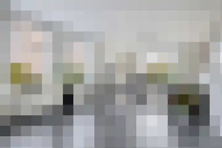 Raadhuisstraat 30 Sprang-Capelle thumbnail 11