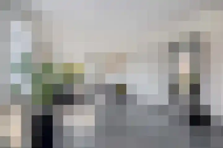 Raadhuisstraat 30 Sprang-Capelle thumbnail 12