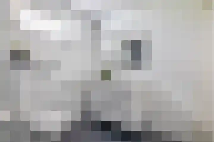 Raadhuisstraat 30 Sprang-Capelle thumbnail 27