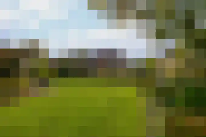 Raadhuisstraat 30 Sprang-Capelle thumbnail 37