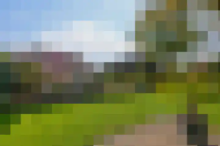 Raadhuisstraat 30 Sprang-Capelle thumbnail 38