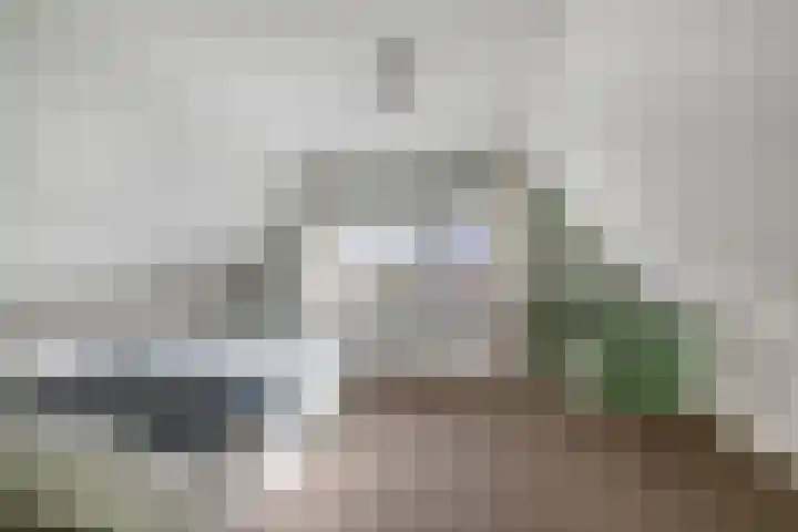 Raadhuisstraat 30 Sprang-Capelle thumbnail 42