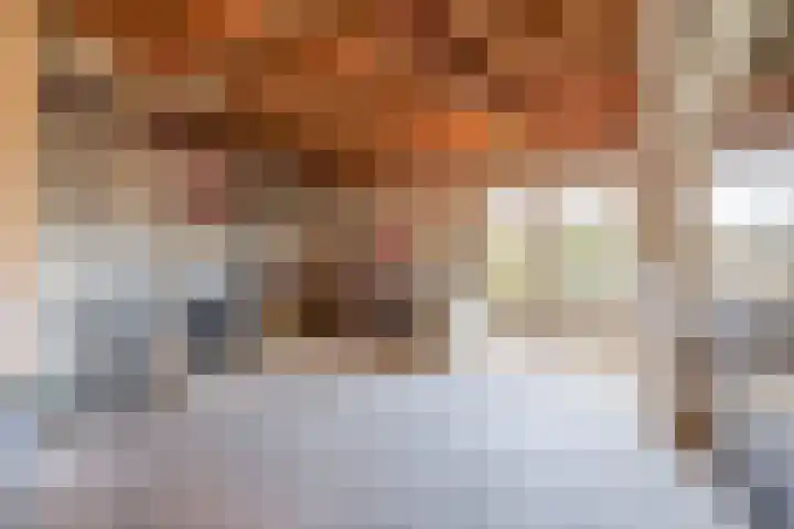 Raadhuisstraat 30 Sprang-Capelle thumbnail 49
