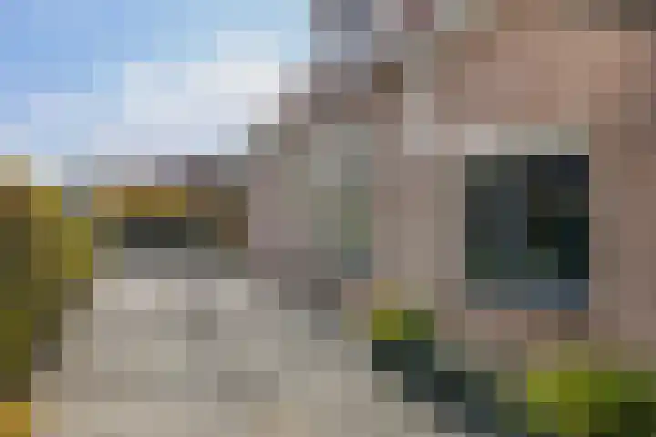 Raadhuisstraat 30 Sprang-Capelle thumbnail 8