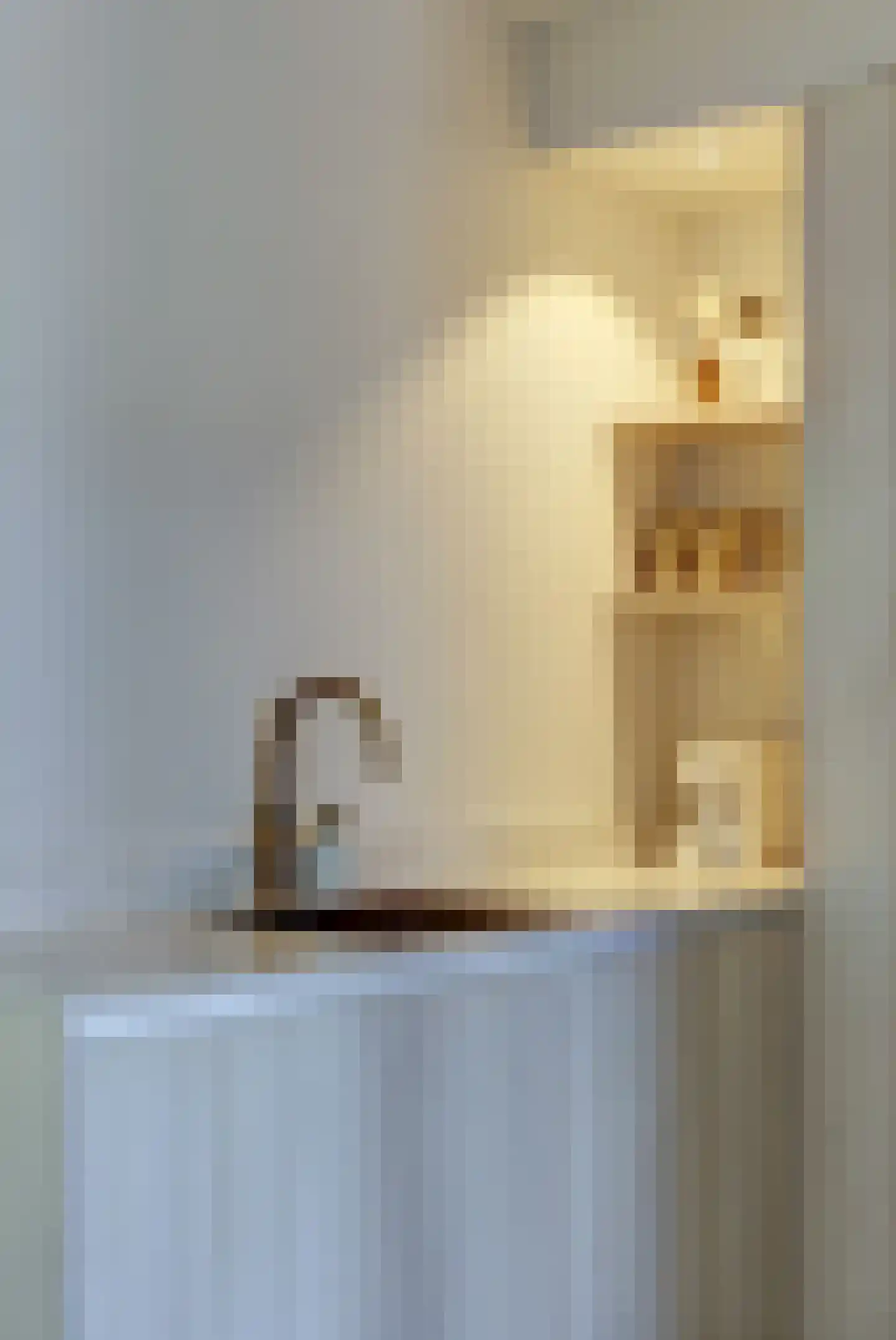 Raadhuisstraat 31 Alphen thumbnail 19