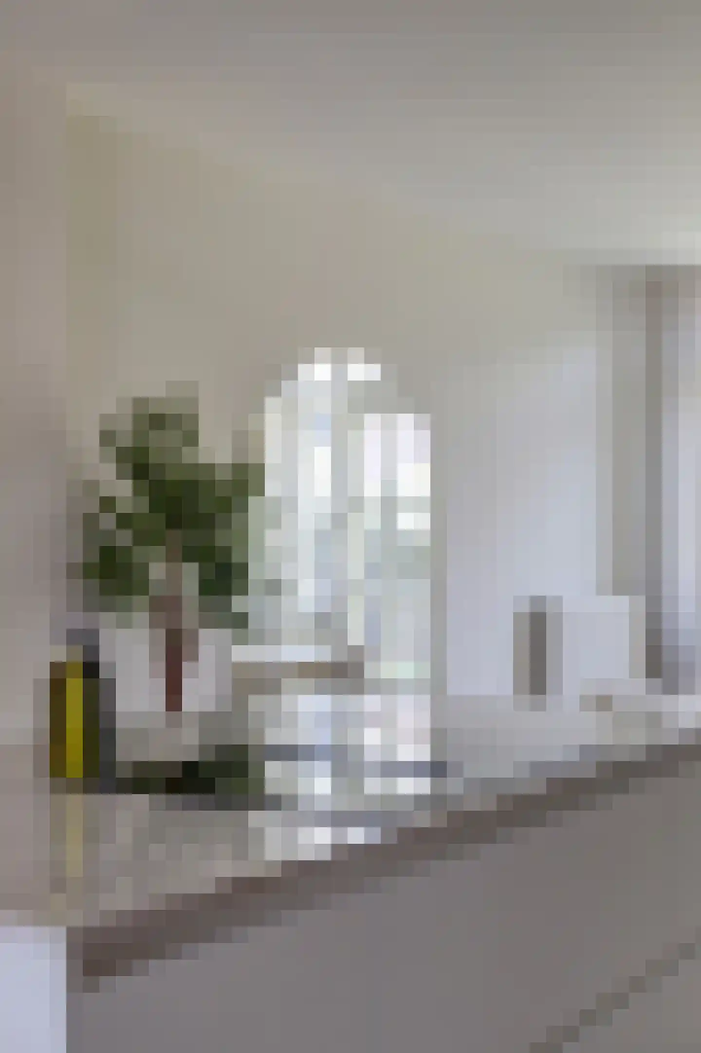 Raadhuisstraat 31 Alphen thumbnail 20