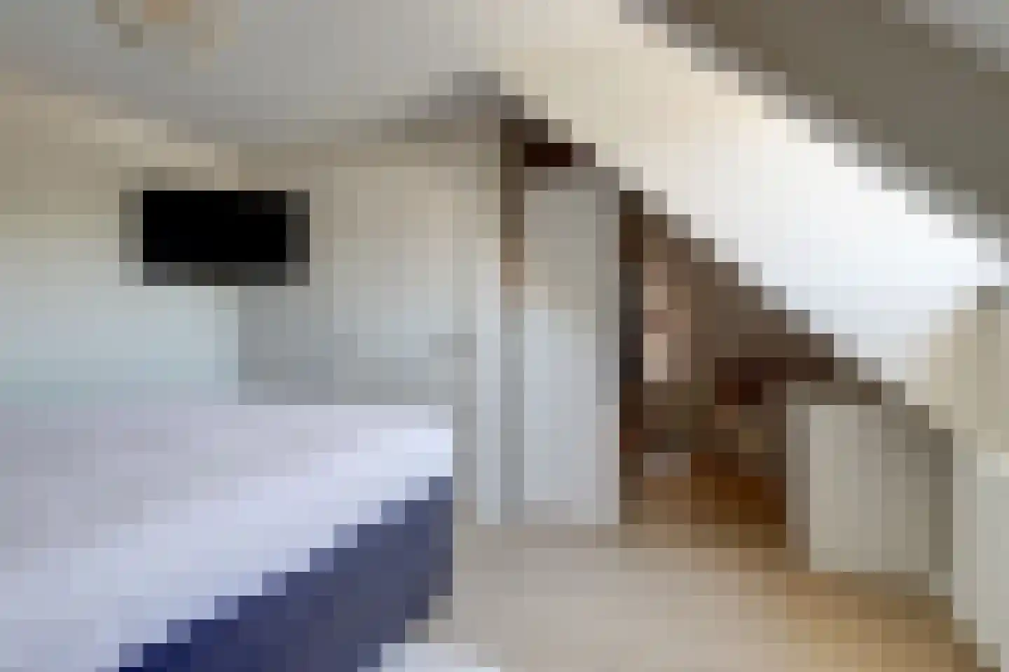 Raadhuisstraat 31 Alphen thumbnail 35