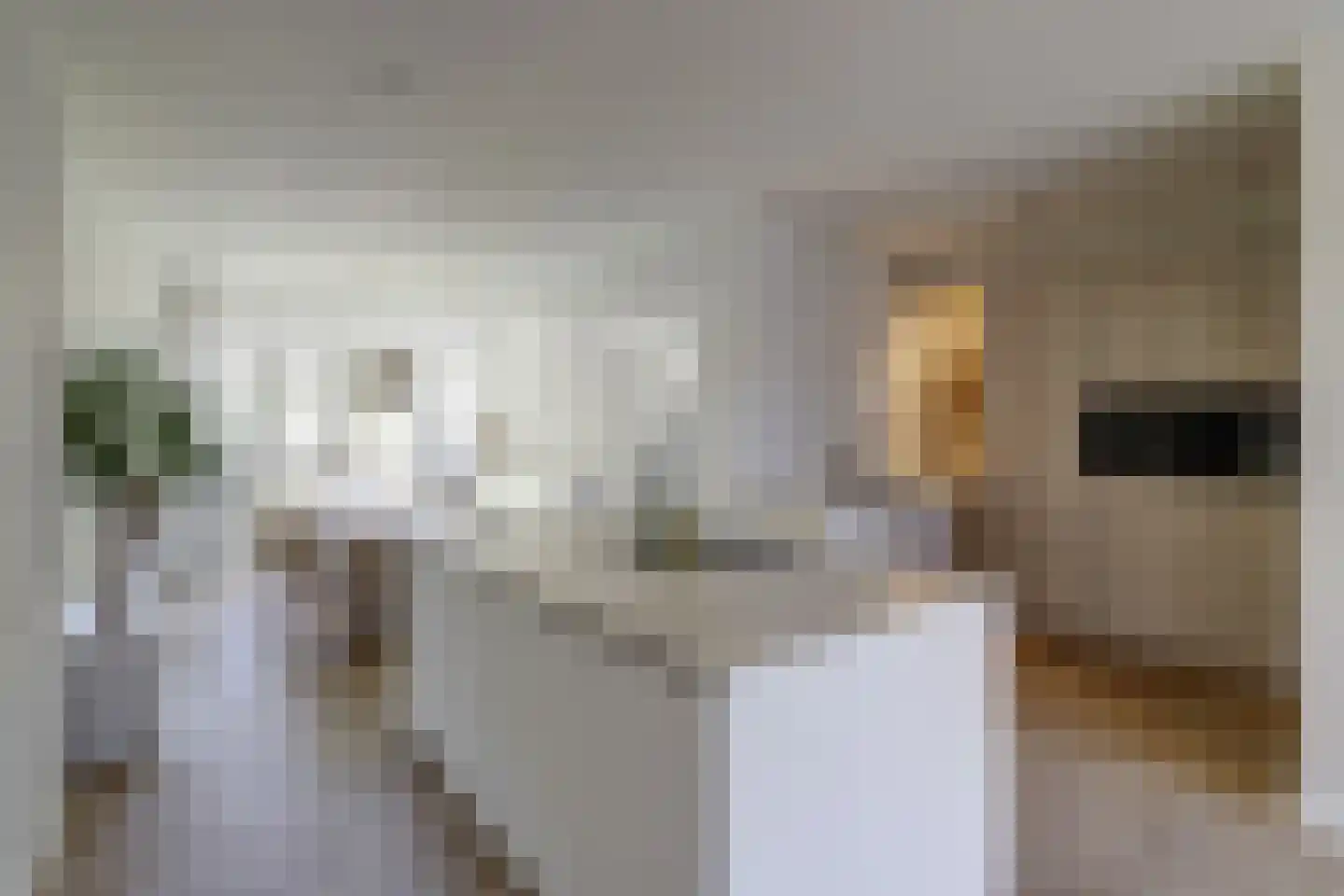 Raadhuisstraat 31 Alphen thumbnail 4