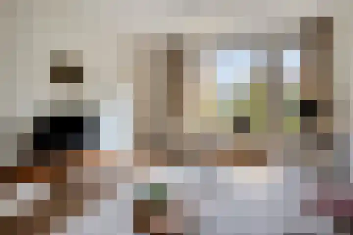 Raadhuisstraat 314 Best thumbnail 11
