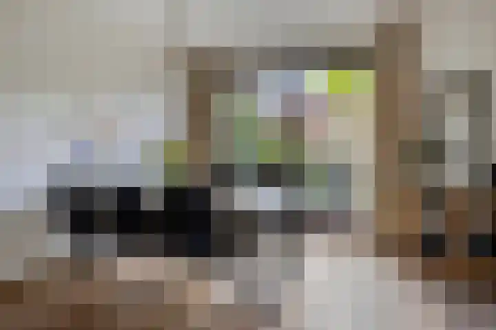 Raadhuisstraat 314 Best thumbnail 12