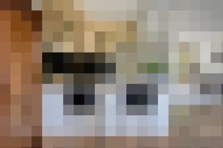 Raadhuisstraat 314 Best thumbnail 17