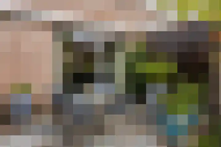 Raadhuisstraat 314 Best thumbnail 19