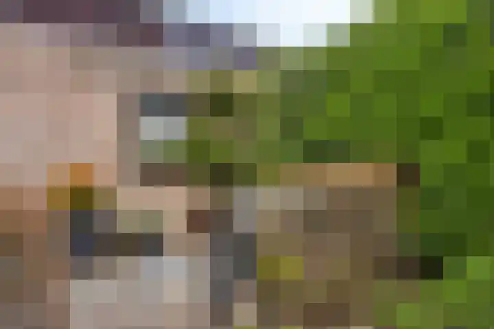 Raadhuisstraat 314 Best thumbnail 20
