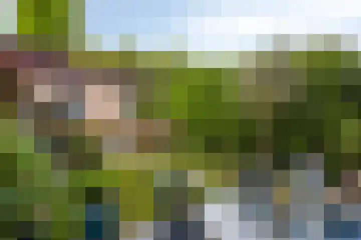 Raadhuisstraat 314 Best thumbnail 21