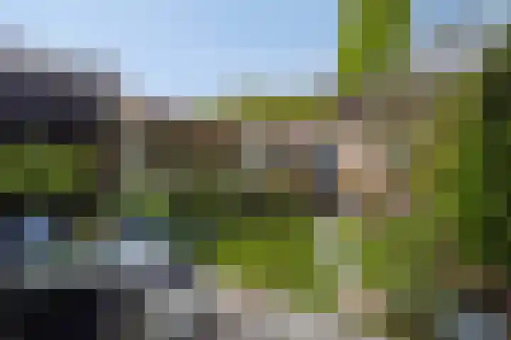 Raadhuisstraat 314 Best thumbnail 4