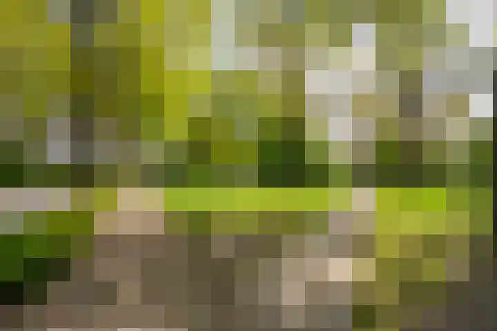 Raadhuisstraat 314 Best thumbnail 40