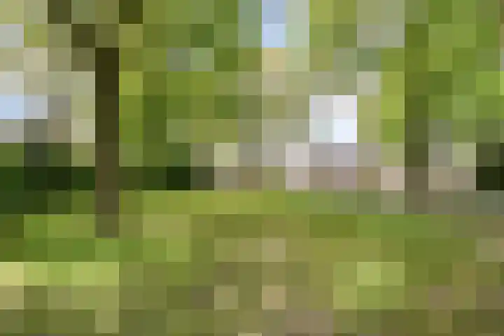 Raadhuisstraat 314 Best thumbnail 41