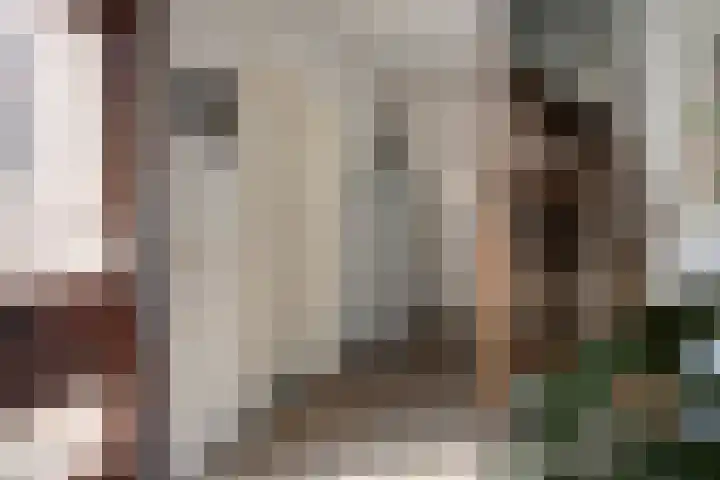 Raadhuisstraat 314 Best thumbnail 5