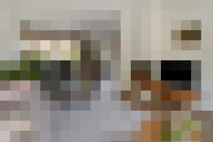 Raadhuisstraat 314 Best thumbnail 9