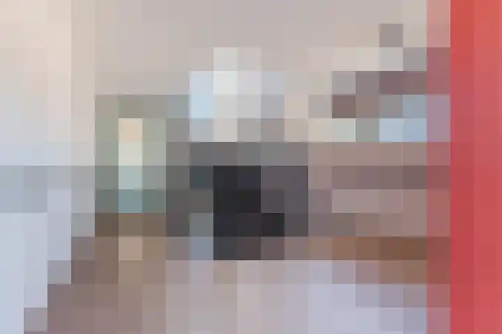 Raadhuisstraat 32 Best thumbnail 12