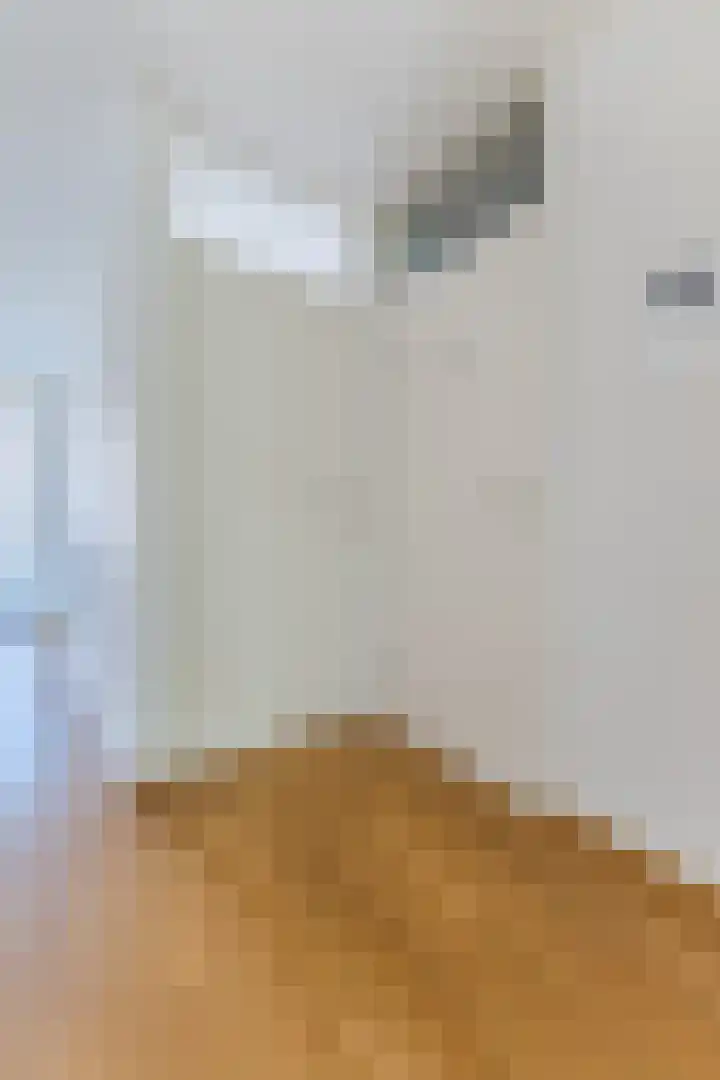 Raadhuisstraat 32 Best thumbnail 15