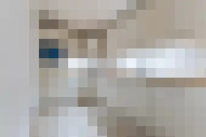 Raadhuisstraat 32 Best thumbnail 22