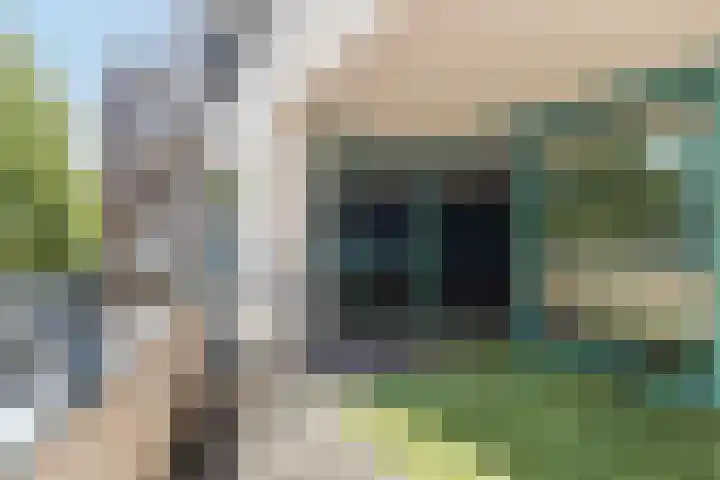 Raadhuisstraat 32 Best thumbnail 32