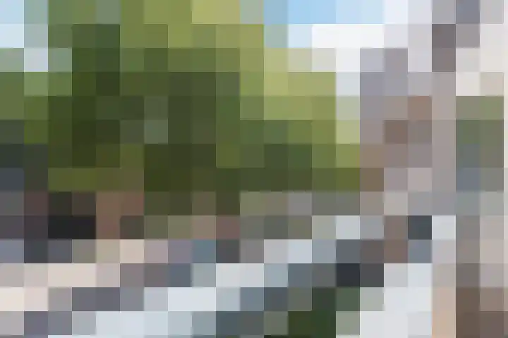 Raadhuisstraat 32 Best thumbnail 33