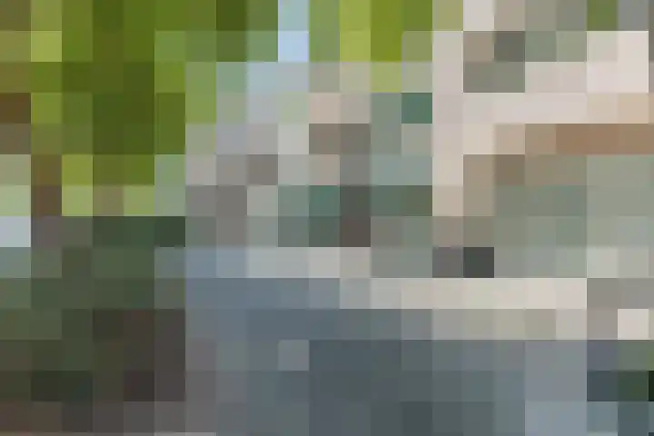 Raadhuisstraat 32 Best thumbnail 8