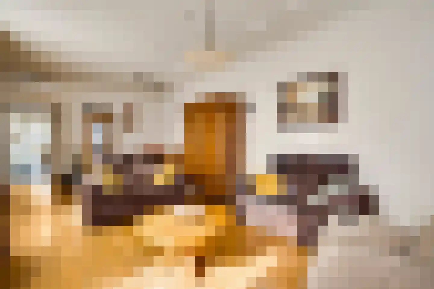 Raadhuisstraat 32 Sevenum thumbnail 16