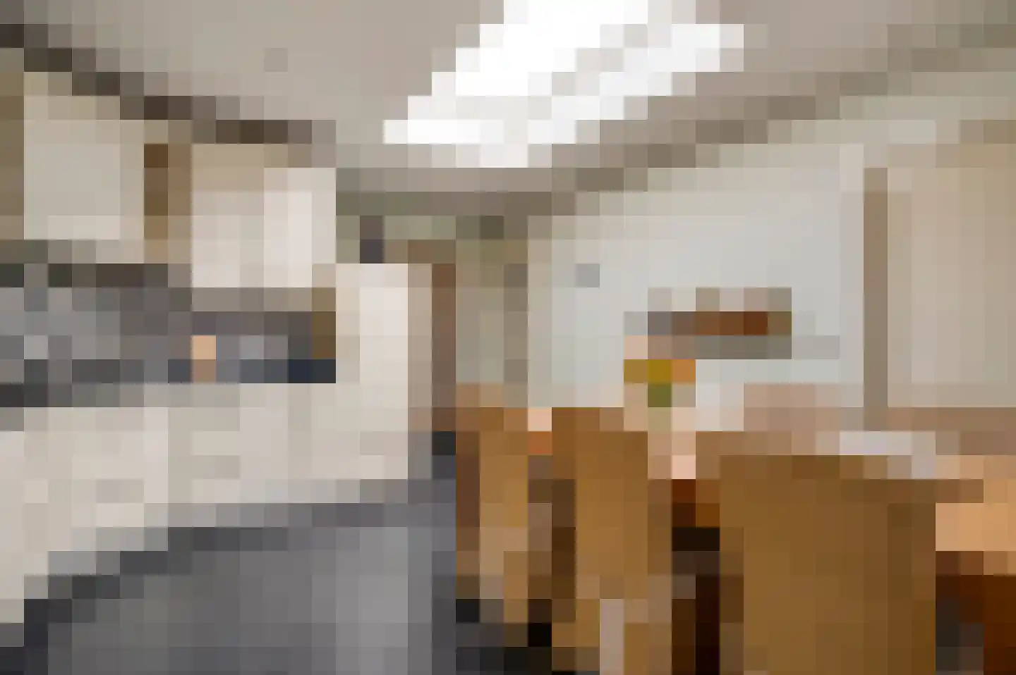 Raadhuisstraat 32 Sevenum thumbnail 21