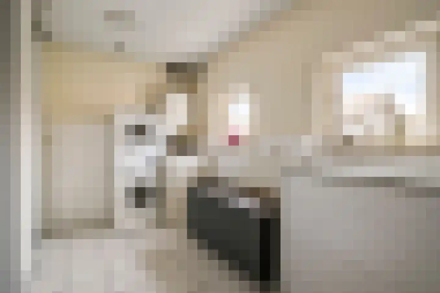 Raadhuisstraat 32 Sevenum thumbnail 22