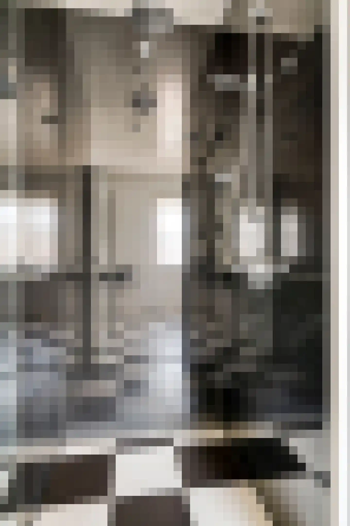 Raadhuisstraat 32 Sevenum thumbnail 29