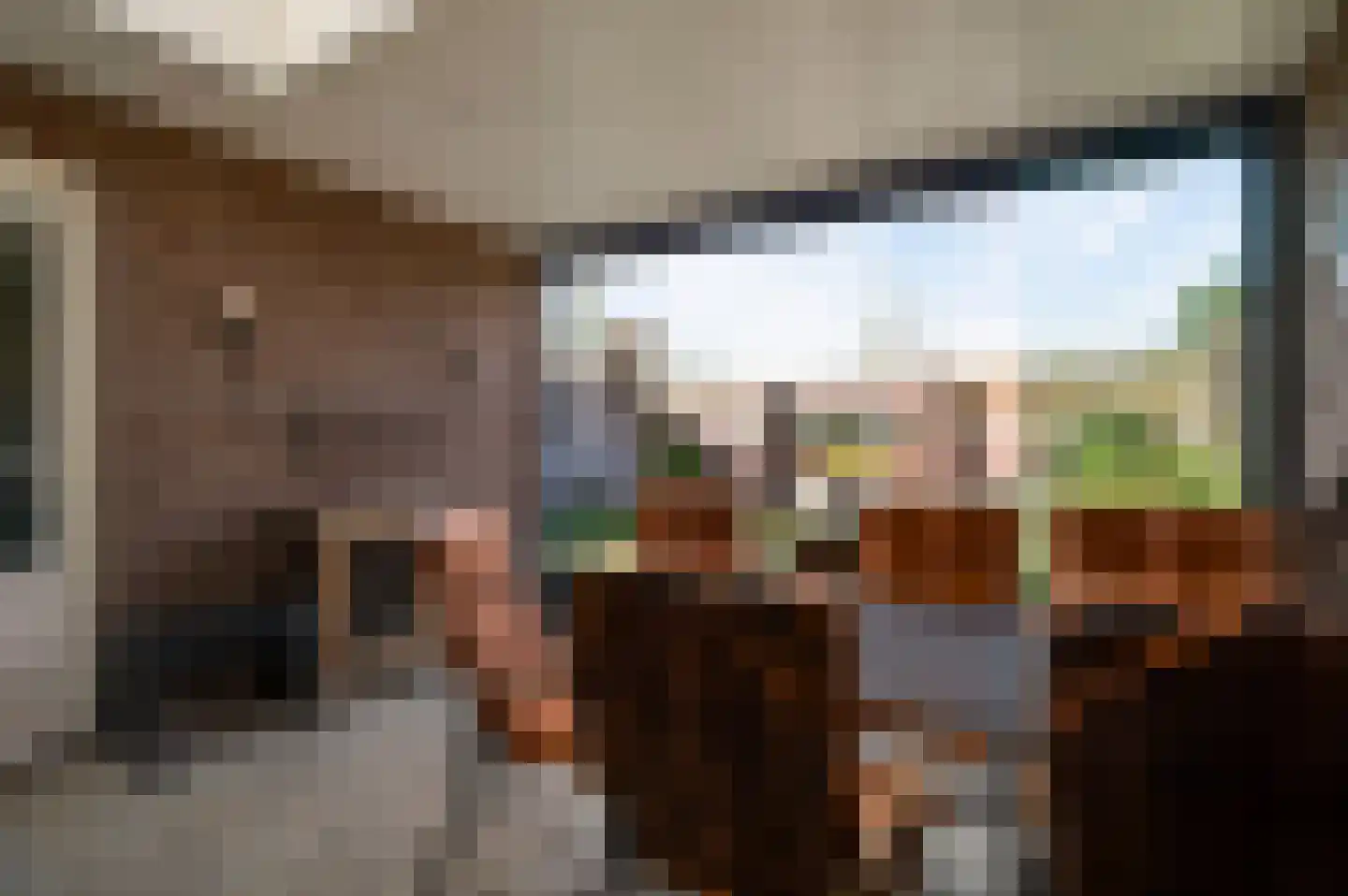 Raadhuisstraat 32 Sevenum thumbnail 39