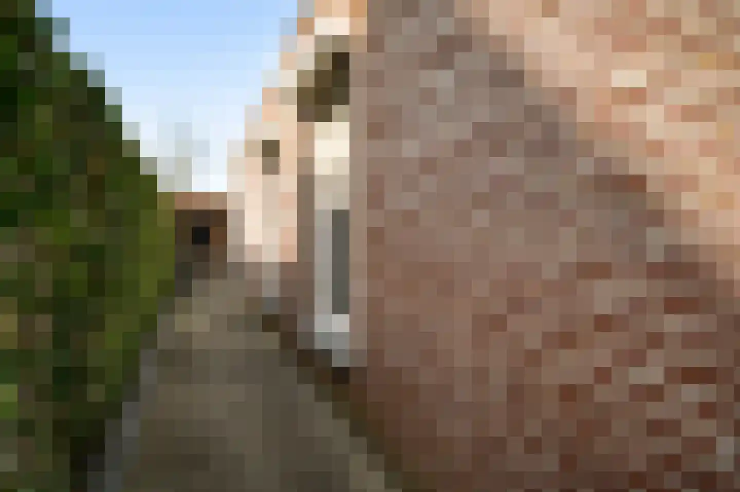 Raadhuisstraat 32 Sevenum thumbnail 40